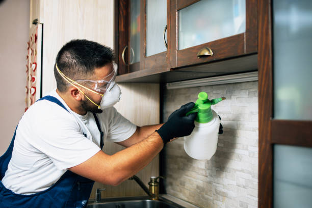 Best Bed Bug Extermination  in Winchester, MO