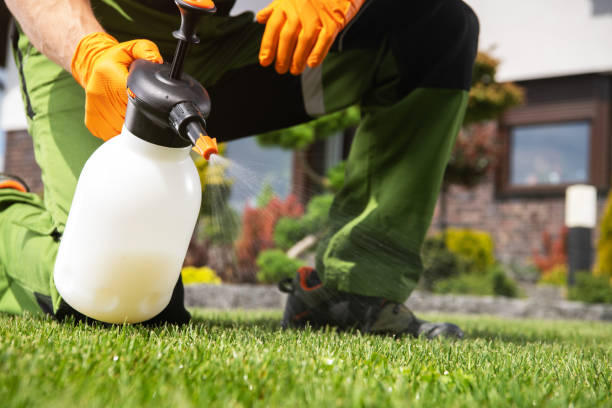 Best Residential Pest Control  in Winchester, MO