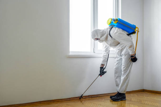 Flea Control Services in Winchester, MO