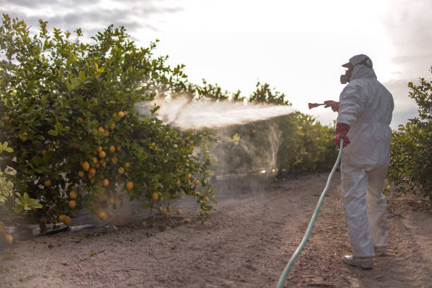 Best Residential Pest Control  in Winchester, MO