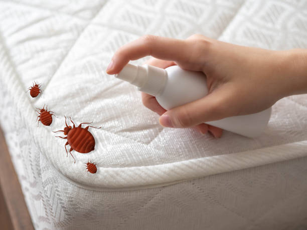 Best Mosquito Control Services  in Winchester, MO