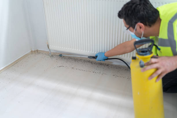 Best Affordable Pest Control Services  in Winchester, MO