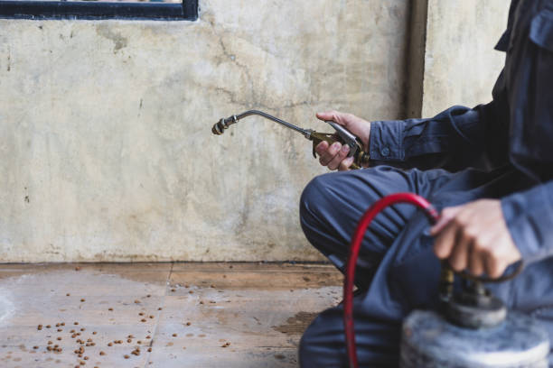 Best Exterminator Services  in Winchester, MO